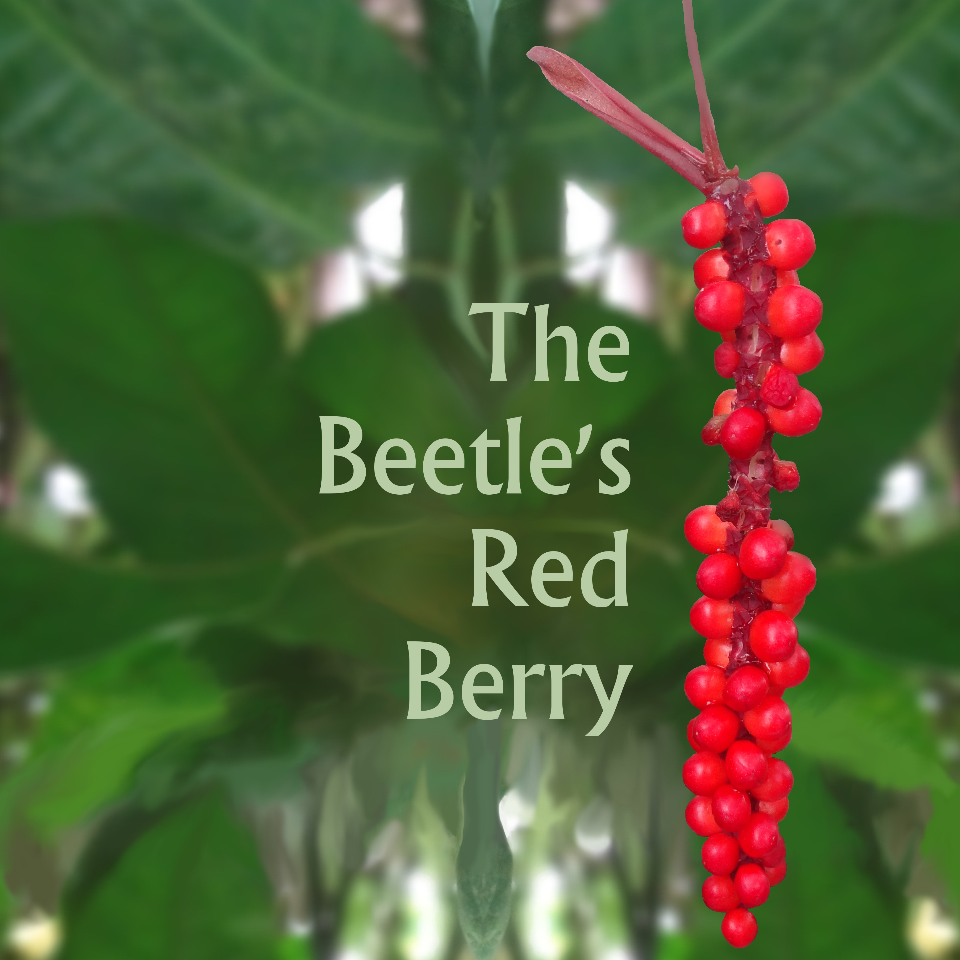 The Beetle's Red Berry